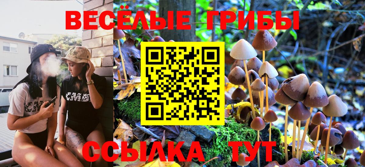 Галлюциногенные грибы MAGIC MUSHROOMS  как найти наркотики  Грозный  Вход с VPN 
