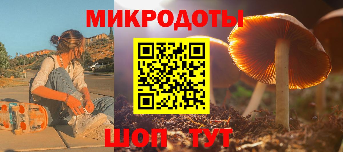 Псилоцибиновые грибы Psilocybine cubensis Грозный